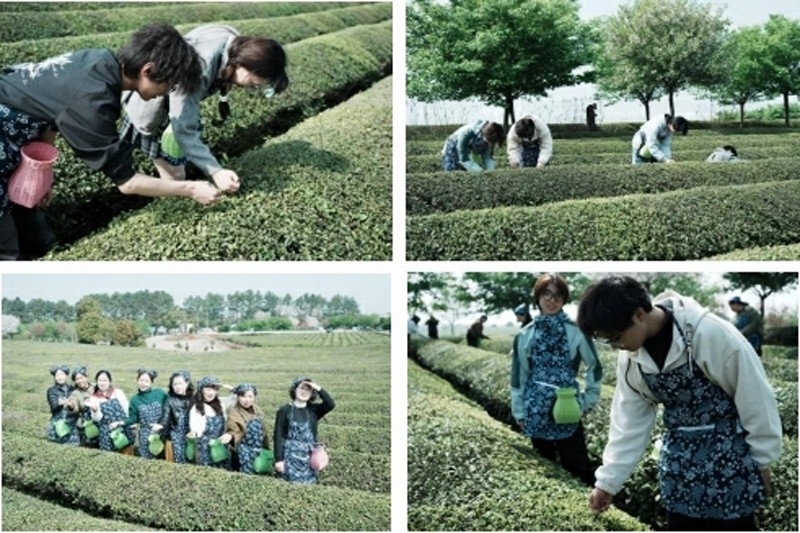 图片2.jpg 图片2.jpg